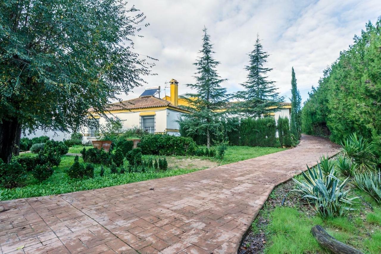 Casa Elizabeth Apartment Palomares del Rio Bagian luar foto